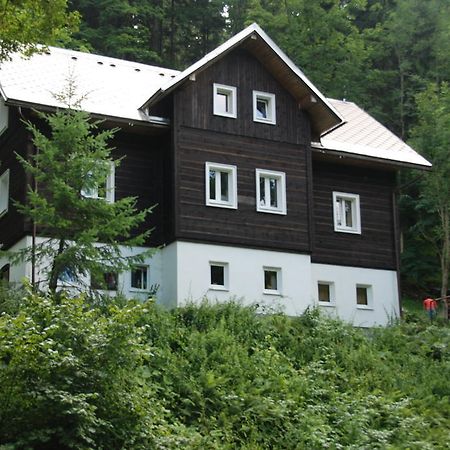 Villa Na Cernem Potoce Rokytnice nad Jizerou Zimmer foto