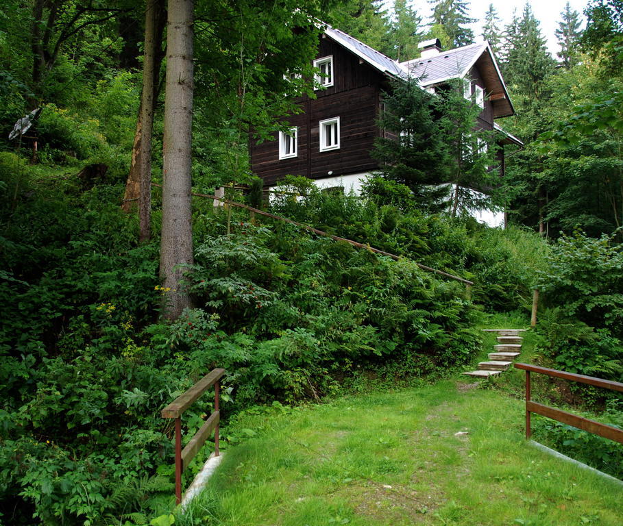 Villa Na Cernem Potoce Rokytnice nad Jizerou Exterior foto